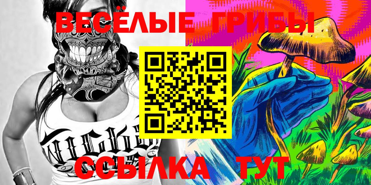 Псилоцибиновые грибы Psilocybe  Галлюциногенные грибы Psilocybe  купить наркотики цена  Вход с VPN  Аргун 