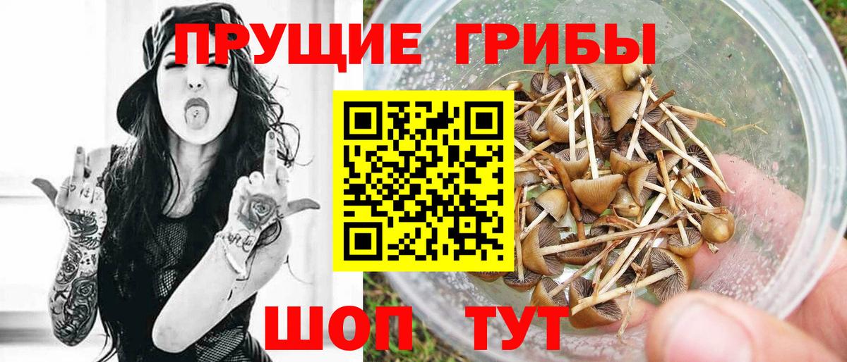 Галлюциногенные грибы мухоморы Аргун
